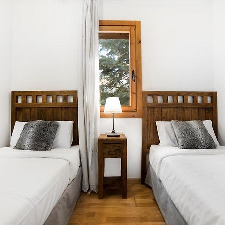 Apartaments Esquirol เอลตาร์แตร์ ภายนอก รูปภาพ